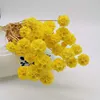 Amarillo