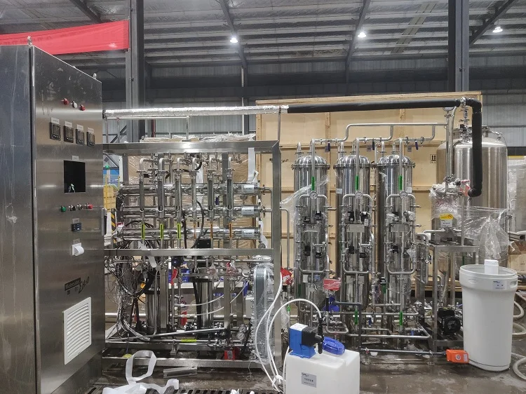 Produzione di acqua 0,25 m3/h Sistema di acqua ultrapura deionizzata EDI per laboratorio 0