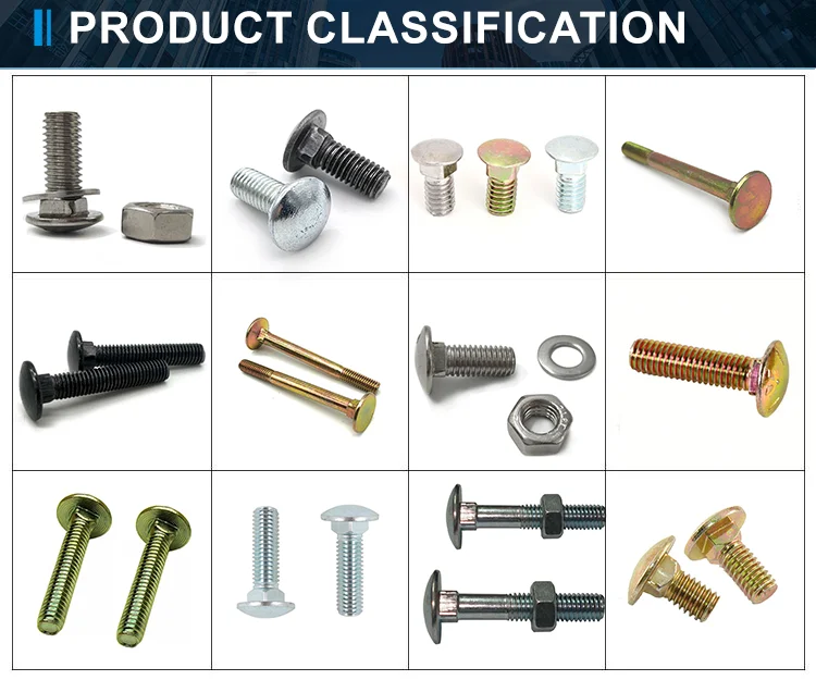 DIN603 mushroom head square neck hot-Dipped Galvanized high