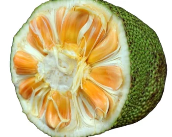good quality jackfruit fresh from vietnam - buy