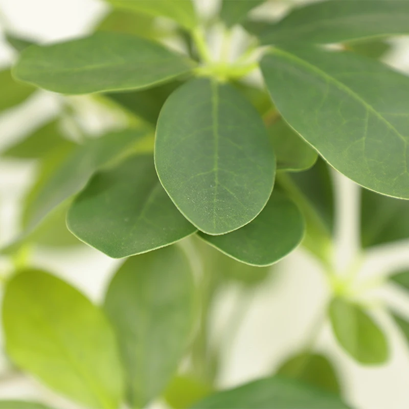 Modern New Design Artificial Indoor Plants Environmental Plastic Bonsai