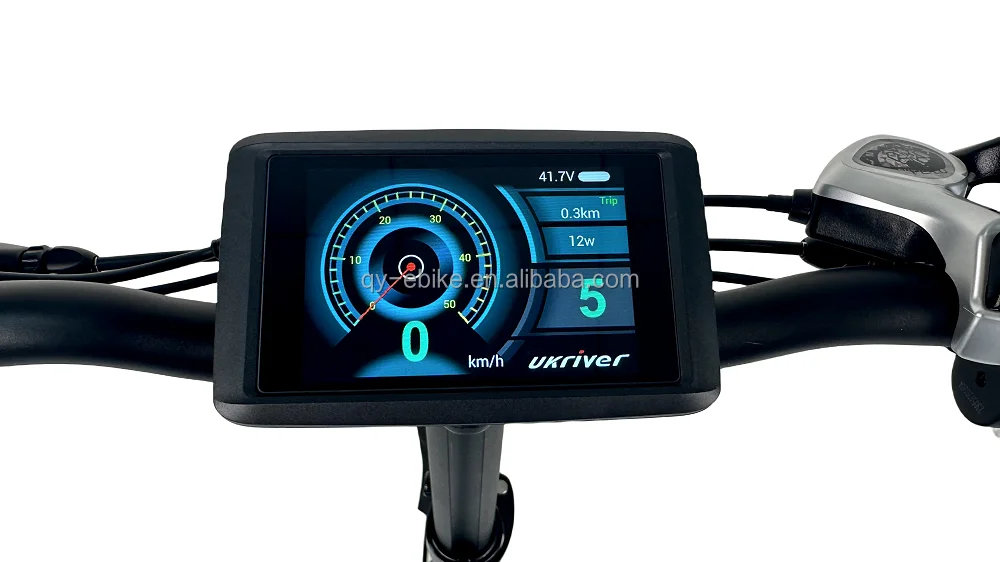 Queene Electric Bicycle Stock 250w 36v 20 Inch Magnesium Alloy Drive