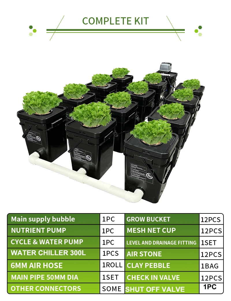 Rdwc Hydroponics System 12 Grow Pot Indoor Hydroponic With Water