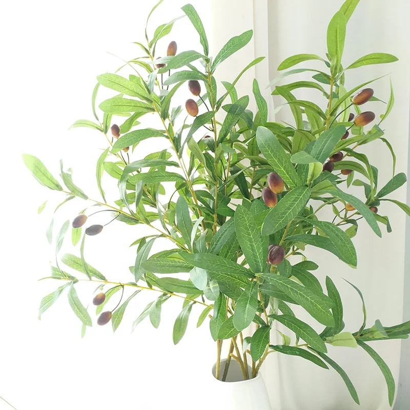 sansevieria futura robusta Snake main image 1