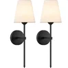 110V Black Double