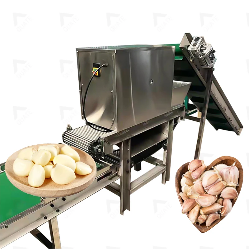 Fully Automatic Garlic Processing Line Garlic Clove Separator Machine Garlic Cleaning Machine