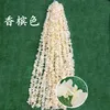 One meter of orchid clusters, champagne color