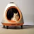 4 Rocket Shaped Outdoor And Indoor Universal Cat Nests - Buy Outdoor ...