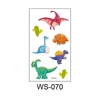 WS-070