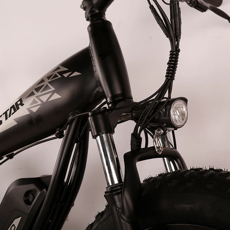 48v Full Suspension Electric Bicycle Fat Tire Ebike Hydraulic Oil Disk Brakes 7 Speed E Bike