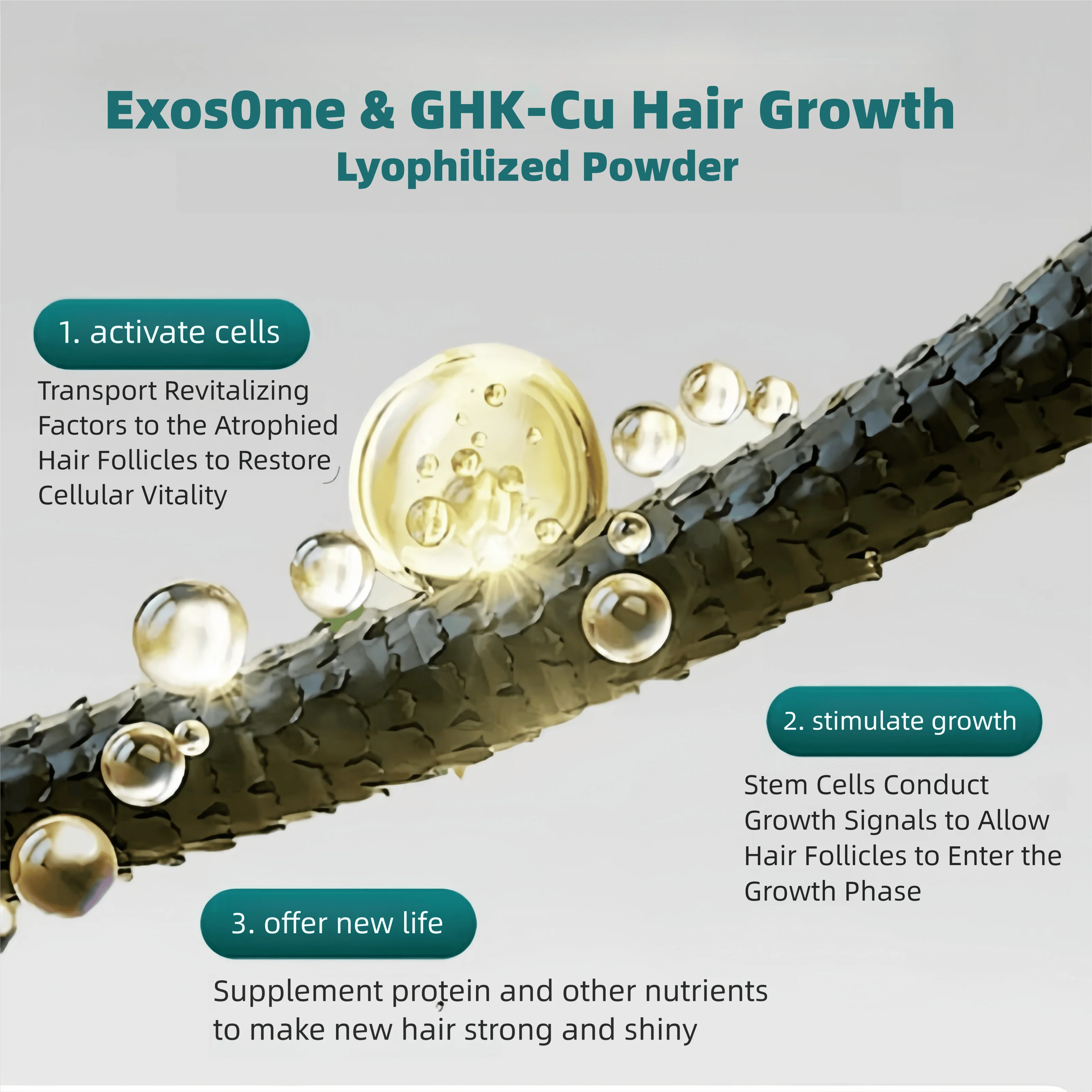 ghk-cu hair follicle stimulation Peptide: Regrowth for Thinning & Alopecia Peptides for Hair Growth: Clinical