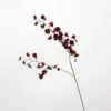vino rosso