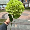 verde 3#