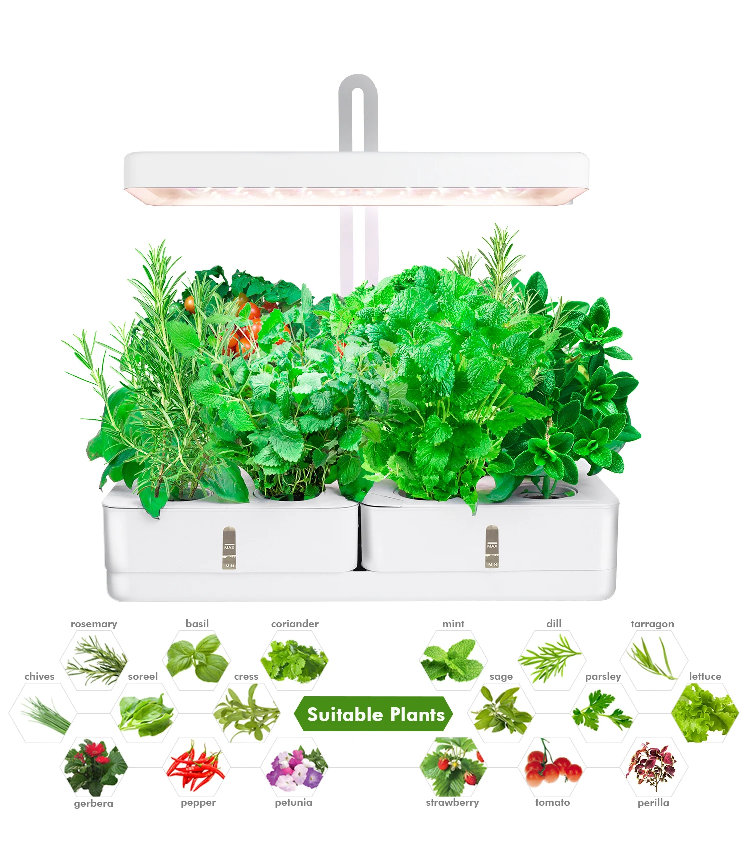 J&c Minigarden Faire Pousser La Lumiere Home Herb Grower Kitchen Herb
