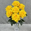 Giallo
