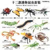 Coloridos mini insectos HSJ (juego de 12 piezas)