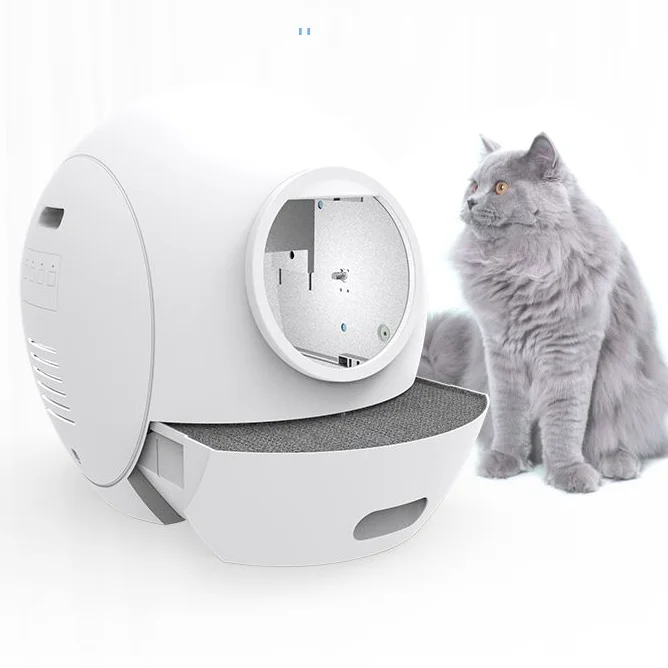 footloose cat potty