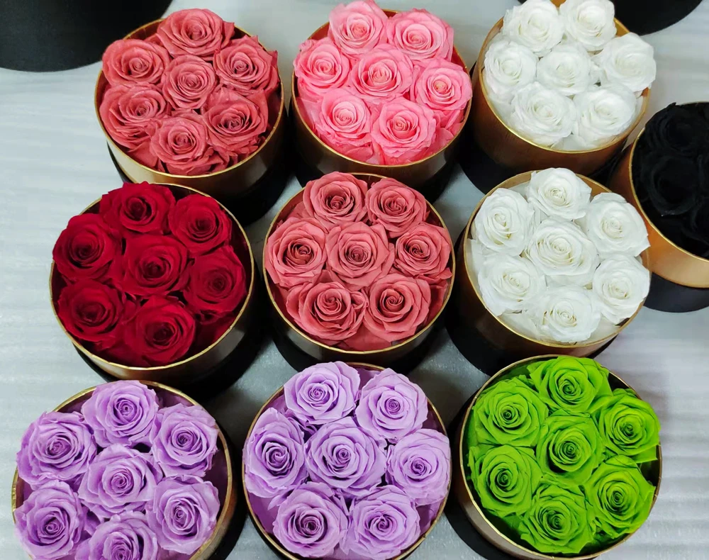 Hfloral Eternal Long Lasting Roses Real Flowers Real Natural Preserved Roses Flowers And Plants