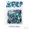 Ultra-thin bohai bay shell slices 05