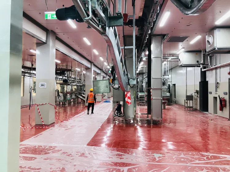 Complete cattle slaughtering line compliant with halal requirements