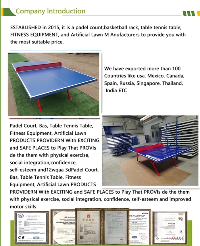 Factory Professional Indoor Table Tennis Table With Removable Casters