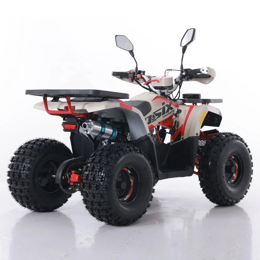 Tao Motor Automatic Chain Drive 2024 New ATV 125 Cheap Chinese Shopping Motorcycles From China Cc 1000 125CC Electric Start 2WD
