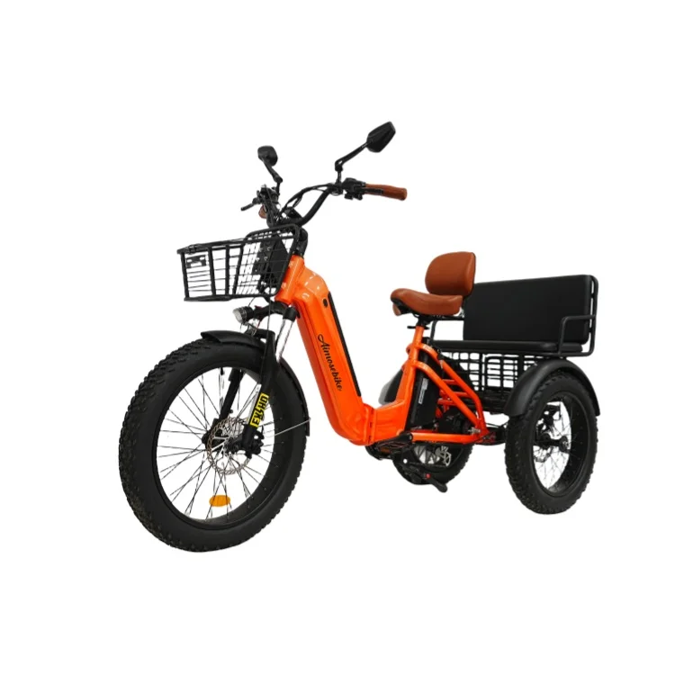 Electric Trike Fat Tire Electric Cargo Bike Fat Tire Trike