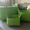 Fruit vert