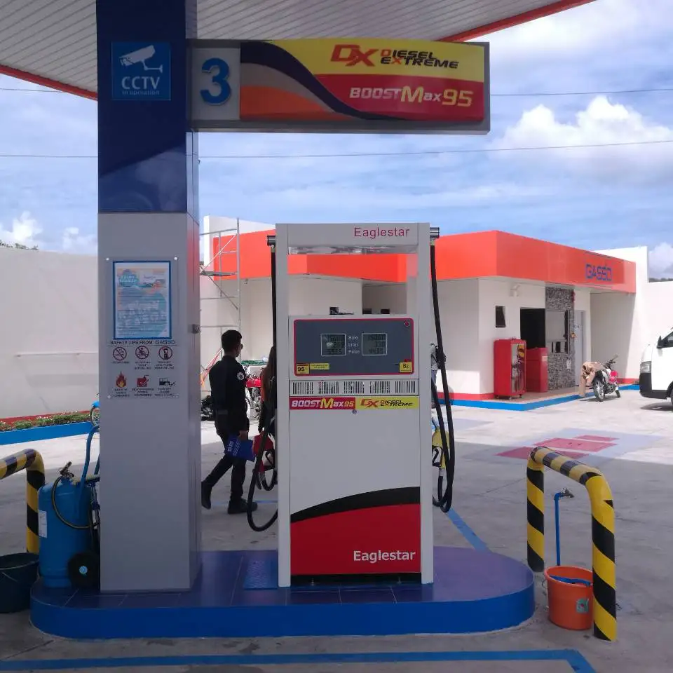 2 Pump 2 Nozzle Card Reader Machine Fuel Dispenser in Turkey