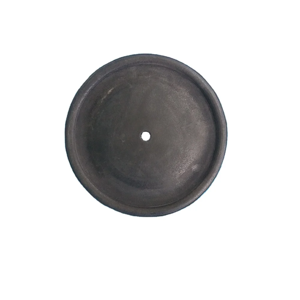 CF01-1060-51 Diaphragm 