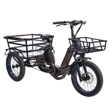 RaiderTrike-C202 wholesale prices 48V750W 20inch electric cargo bike fat tire electric tricycles e trike