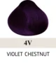 4V Violet Chestnut