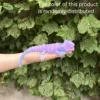 Cristal violet