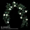 White Valentine's Rose Vine