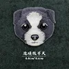 5#BORDER COLLIE