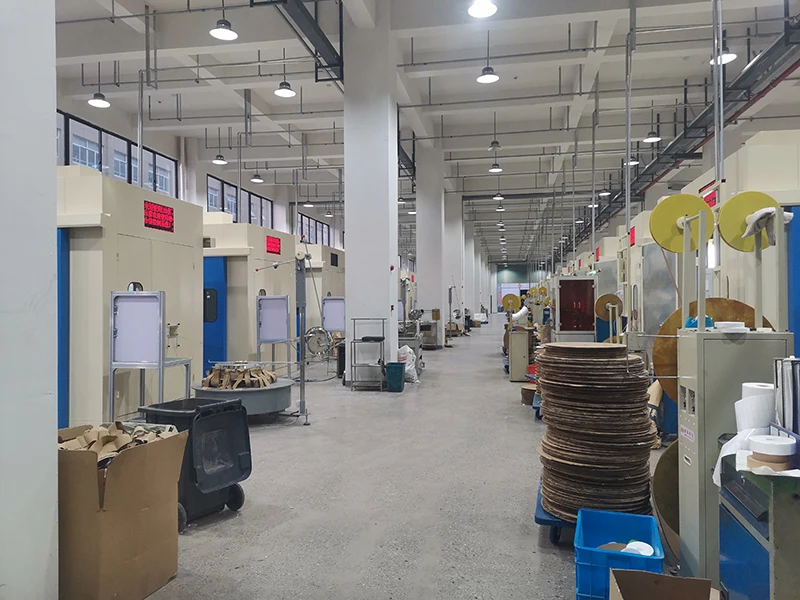 Wenzhou Boyue Electric Co., Ltd.