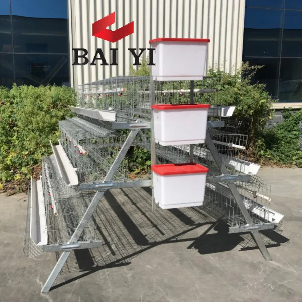 Types Of Layer Chicken Cages For Zimbabwe Poultry Farms Buy Types Of