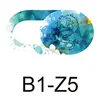 Couleur B1-S5 (pas d'emballage)