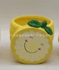 Maceta de 10 limones