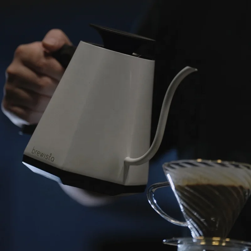 Best Gooseneck Tea Kettle Brewista Portable Electric Kettle - Main Image