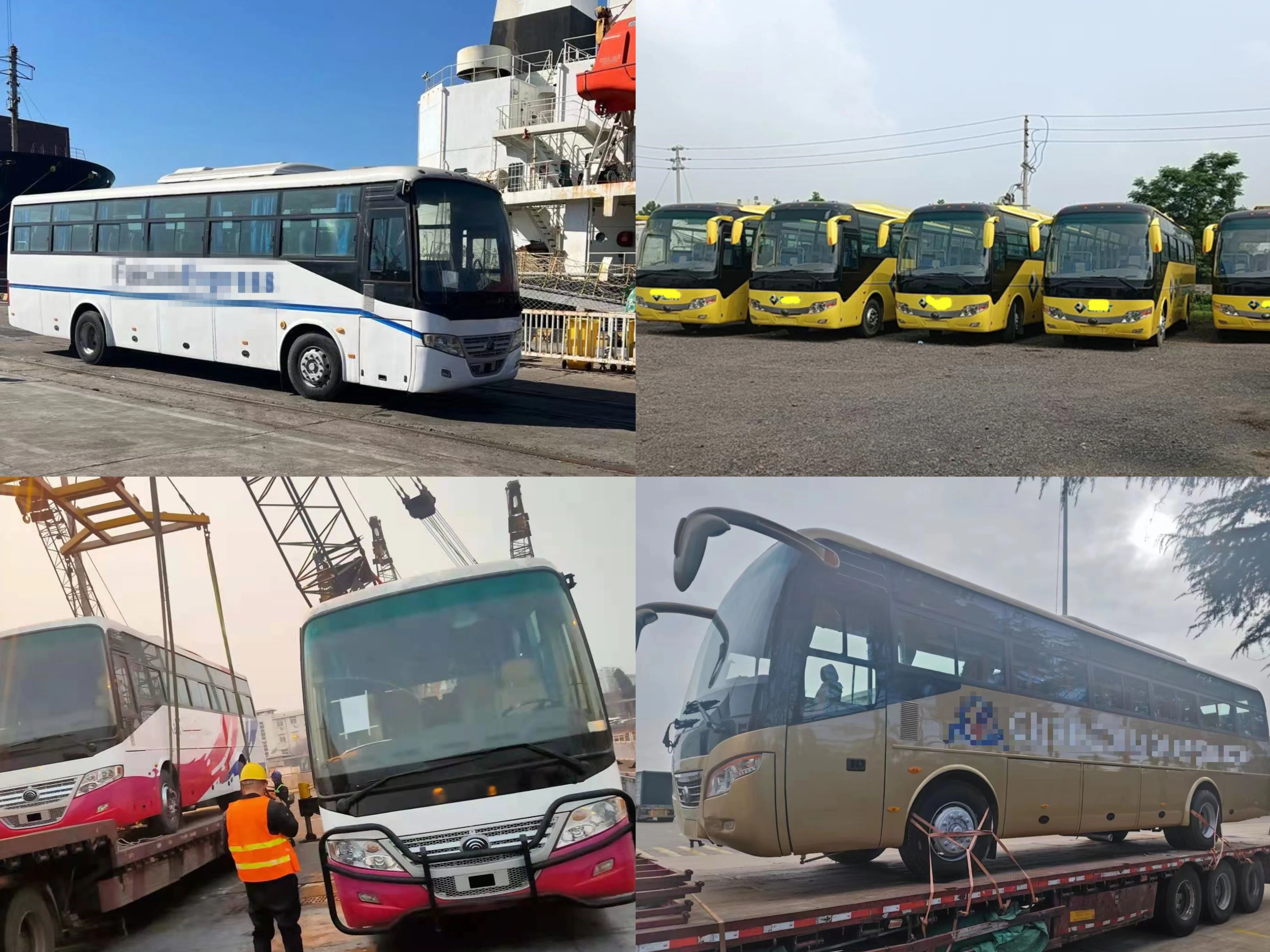 2018 Year ZK6119H5Y Yu-Tong Bus - 50 Seats for Sale