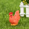 Gallo colorato