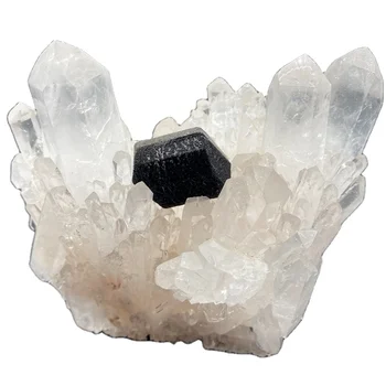 Natural Clear quartz crystal cluster with raw black tourmaline Healing Stone Black Tourmaline for Home Decoration