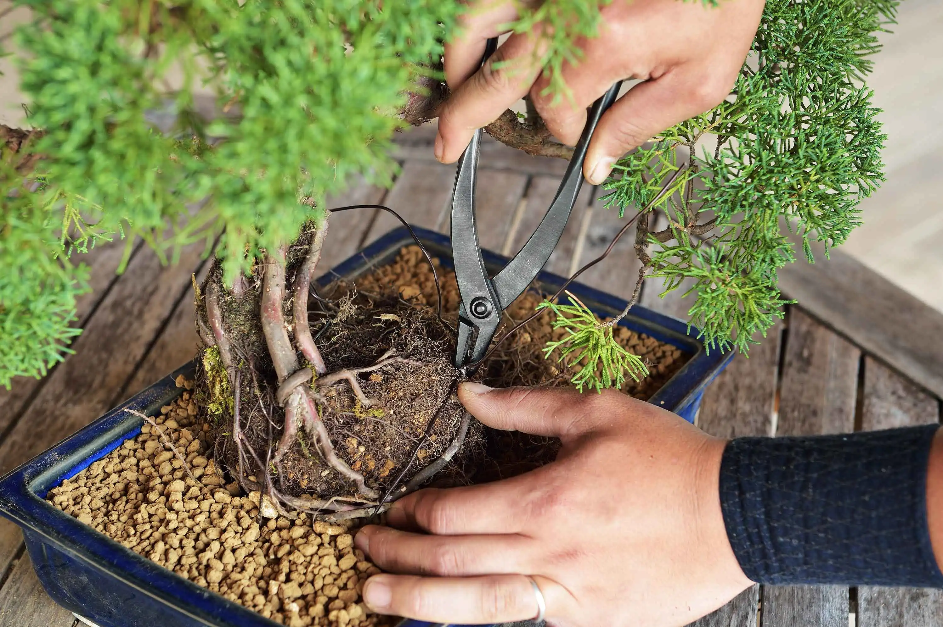 Japan Bonsai Tools Aluminum Wire With Solid And Durable Quality Buy