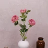 สีถั่วบด