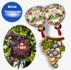 Transparent Color Pins