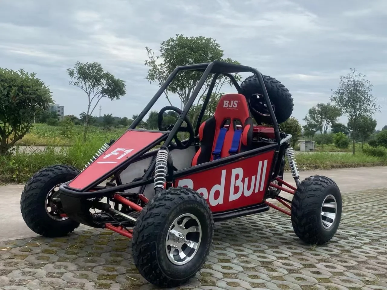 2022 Easy-go Newest Single Seat Cheap High Speed Adults off Road dune Buggy/buggy