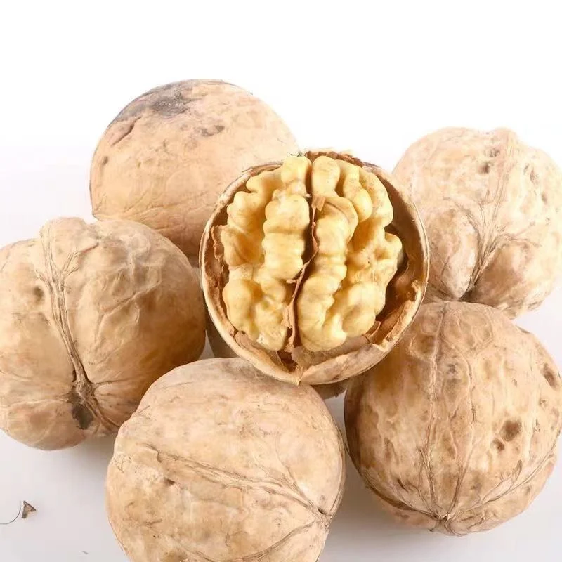 Chinese export 185 type walnuts with shell unshelled per pound price