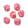 Rose pâle