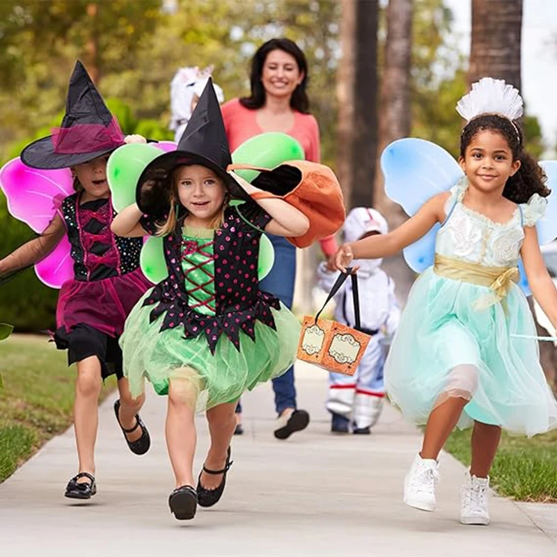 sachin and babi light blue dress Fairy Wing Princess Butterfly Costume